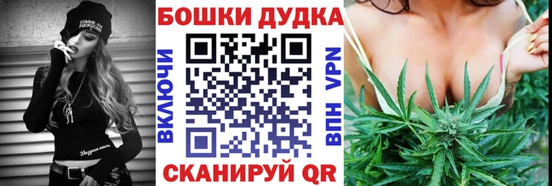 Бошки Шишки Власиха