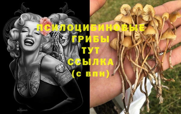 PSILOCYBIN Богородск