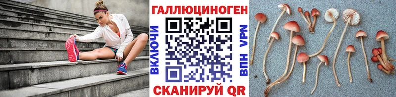 Галлюциногенные грибы мицелий  как найти закладки  Власиха 